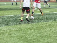 双色球奇遇,期独门秘籍,红球,竞彩网,竞彩网官方首页,竞彩网首页官方,竞彩网首页