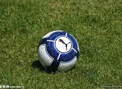 体彩排列三,期号专家推,质合分析前,竞彩网,竞彩网官方首页,竞彩网首页官方,竞彩网首页