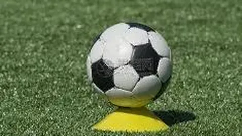 竞彩网 资讯 090925 g90