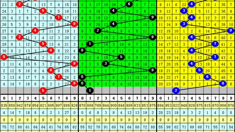 【百万豪掷盛宴】双色球第26016期，权威专家精准兰码预测，快来一睹为快！🎉💰